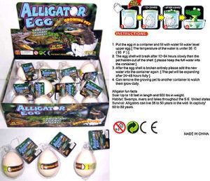 MAGIC GATOR EGG HATCHLING