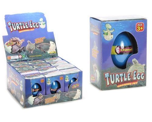 Magic Hatching Turtle Egg