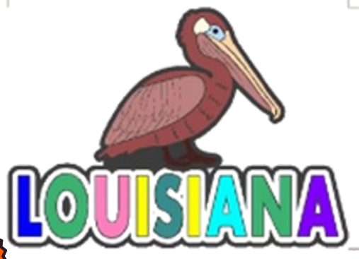 LA BROWN PELICAN MAGNET