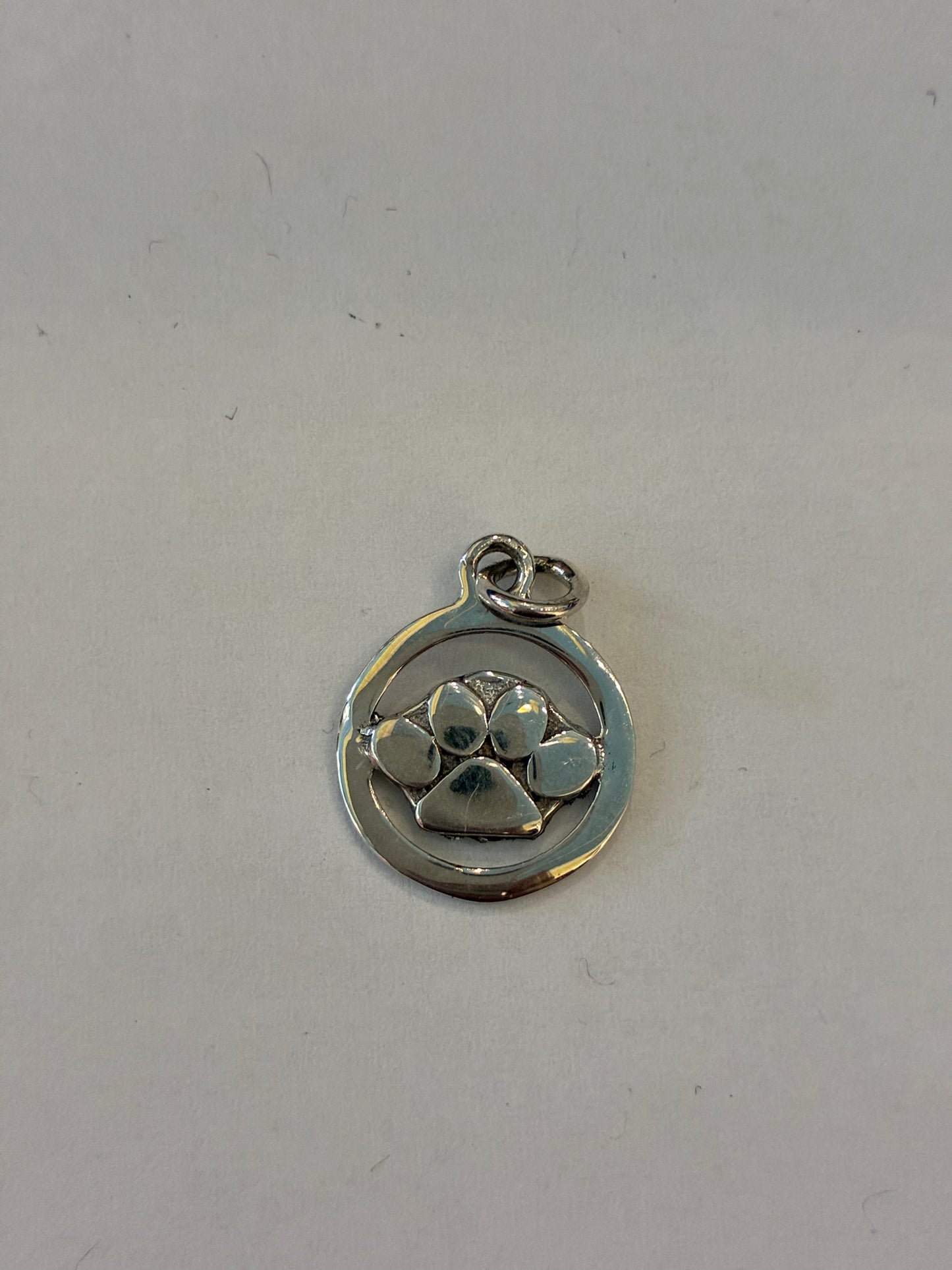 TIGER BABY PAW