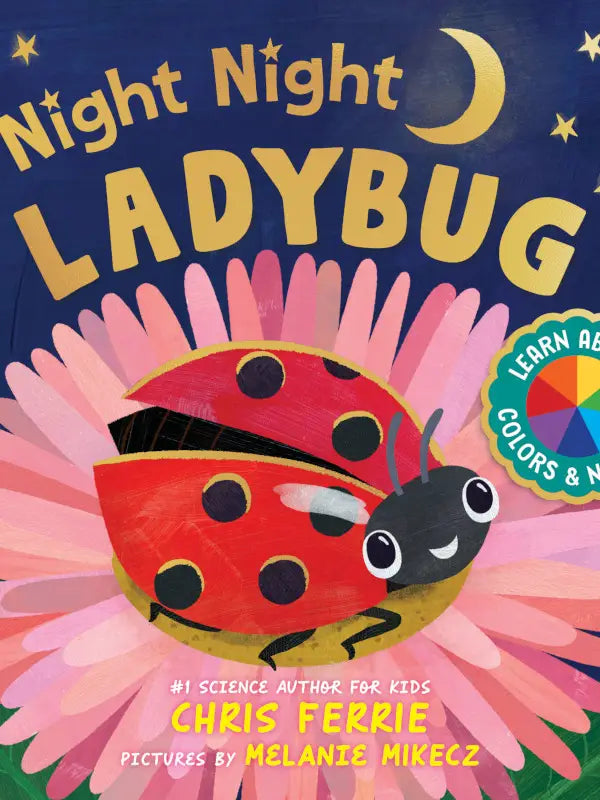 NIGHT NIGHT LADYBUG